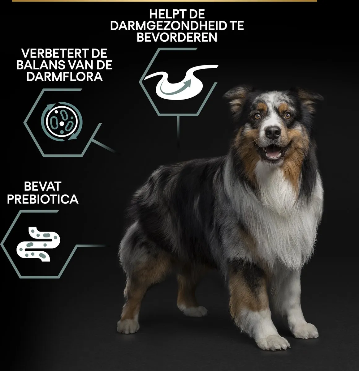 Pro Plan Graanvrij Sensitive Digestion Adult Kalkoen Hondenvoer 12kg