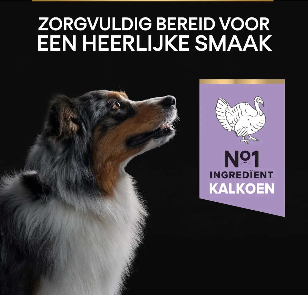 Pro Plan Graanvrij Sensitive Digestion Adult Kalkoen Hondenvoer 12kg