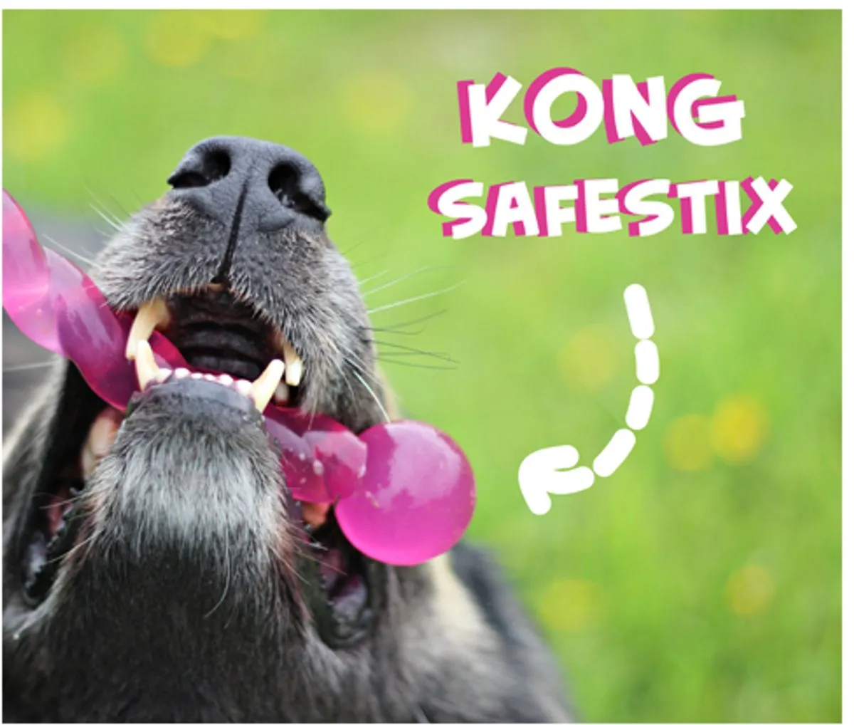 KONG Safestix L Apporteren - Multi
