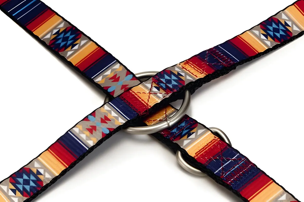 Beeztees Huvos Hondenriem - 200cm x 20mm