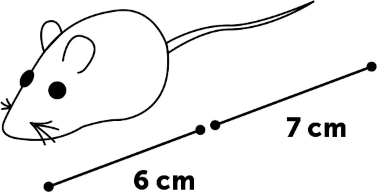Flamingo Bernard Muis Met Pieper Kattenspeeltje - 3 Stuks - afbeelding 2 van 5