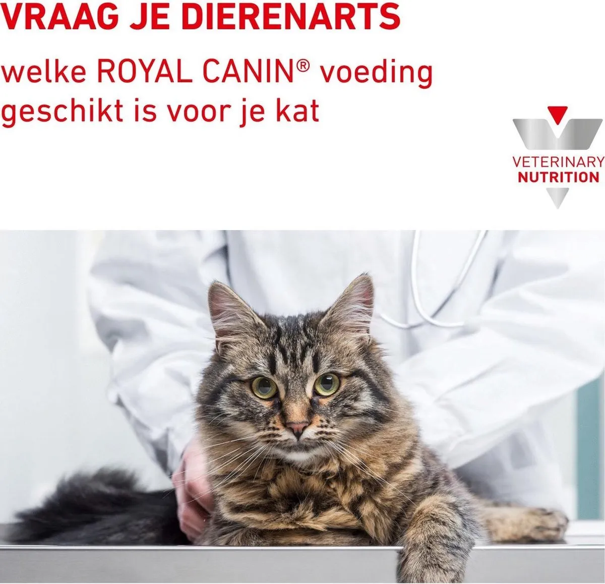 Royal Canin Sensitivity Control Kattenvoer - 12 x 85g - afbeelding 6 van 6