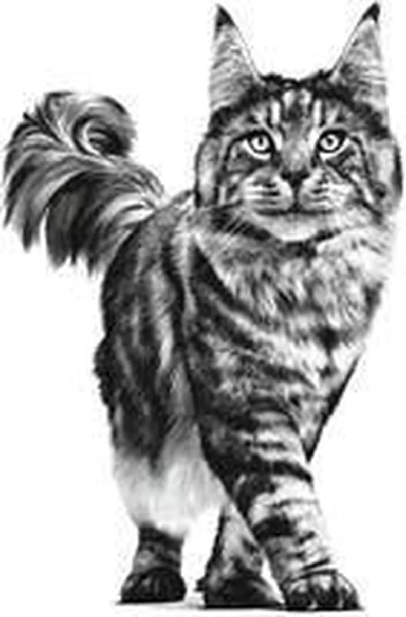 Royal Canin Sensitivity Control Kattenvoer - 12 x 85g