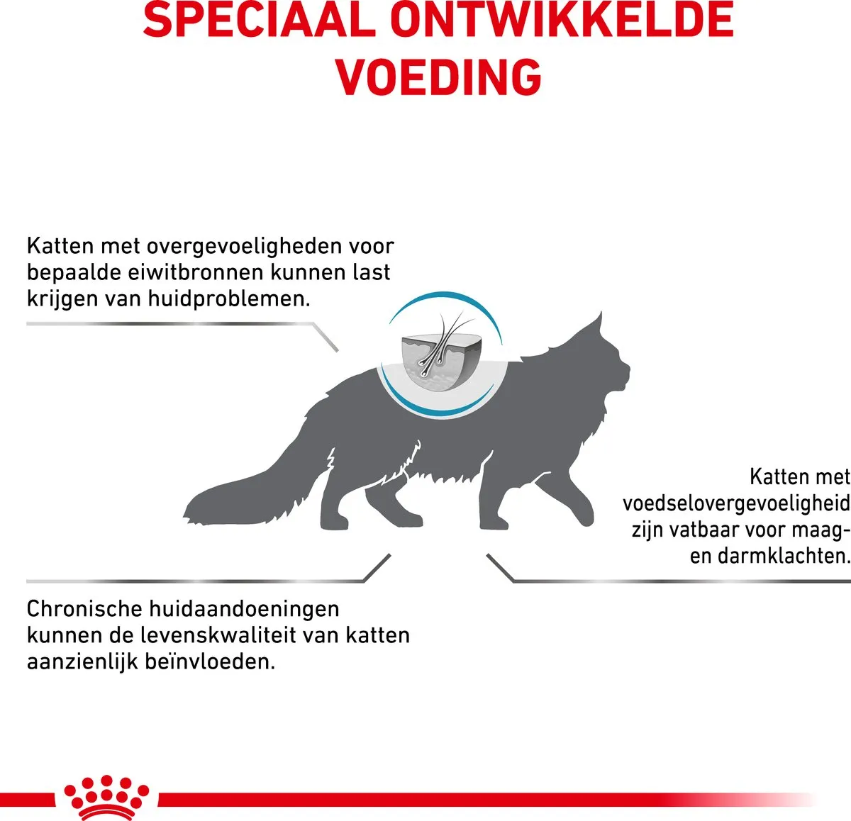 Royal Canin Veterinary Diet Hypoallergeen Kattenvoer 4,5 kg - afbeelding 6 van 6