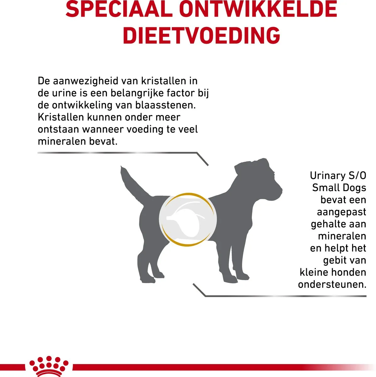 Royal Canin Veterinary Diet Urinary S/O Small Dogs Hondenvoer 1.5kg