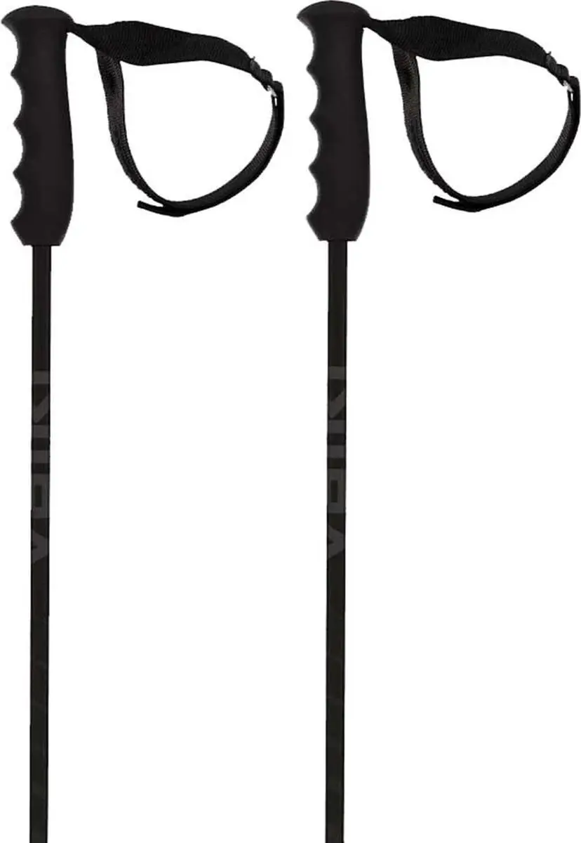 Volkl Speedstick Stokken Zilver 125 cm