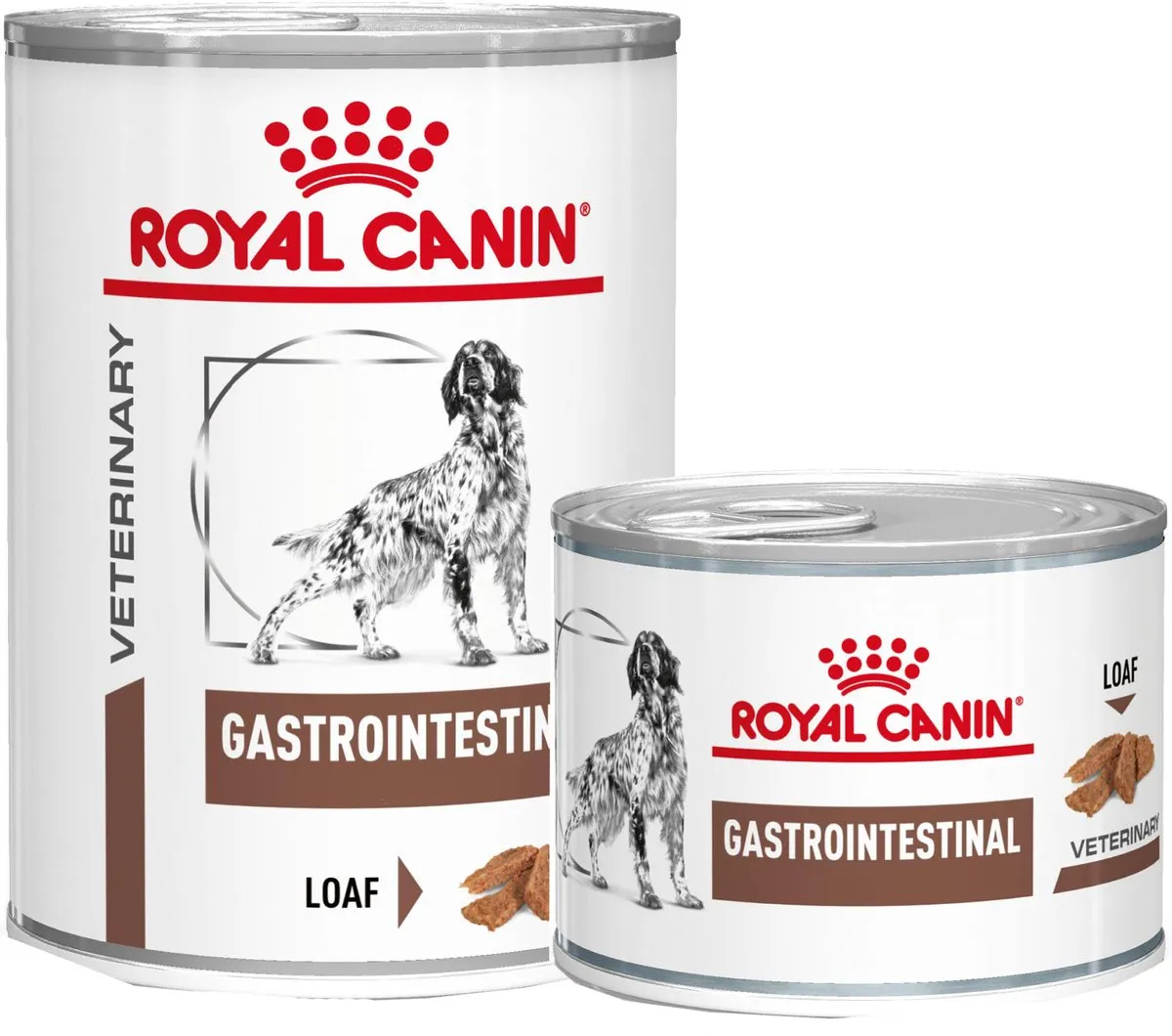 Royal Canin Gastro Intestinal Natvoer Hond - 12 x 400g