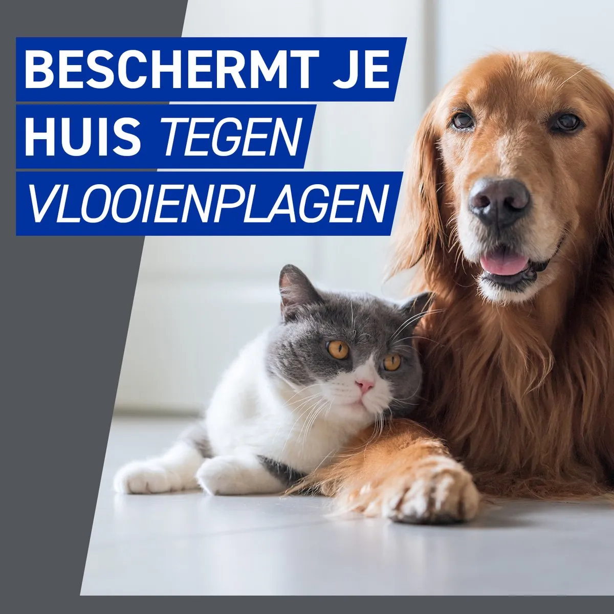 Frontline Homegard Omgevingsspray Anti-vlooien 500ml