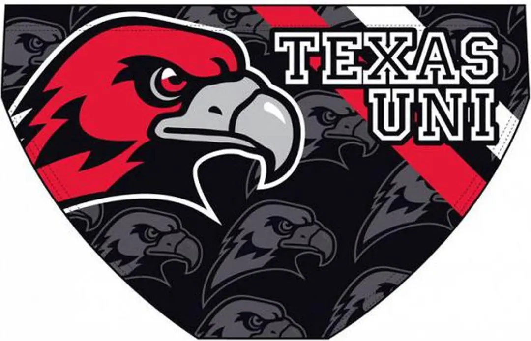 Turbo Texas Uni Zwemslip Zwart - afbeelding 6 van 6
