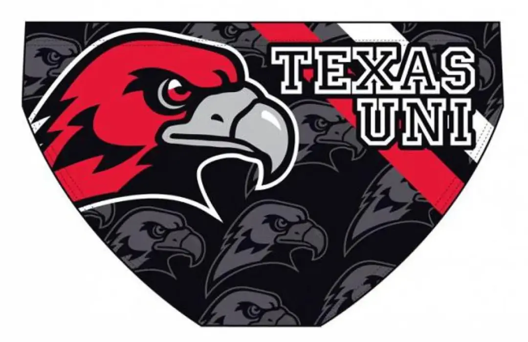 Turbo Texas Uni Zwemslip Zwart - afbeelding 2 van 6