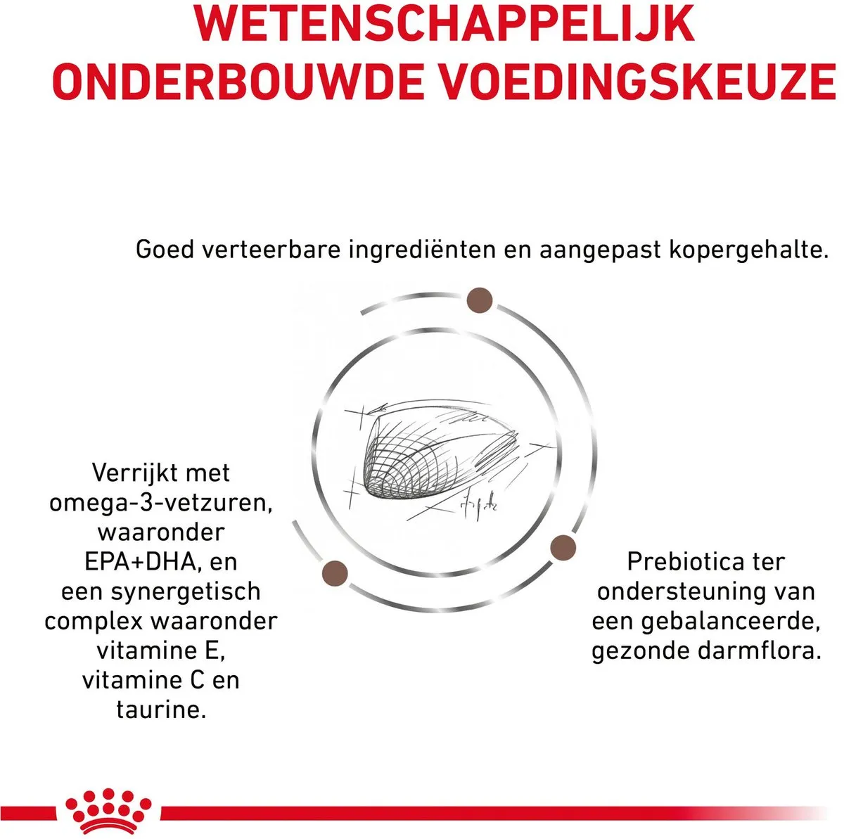 Royal Canin Veterinary Diet Hepatic Hondenvoer 1.5kg