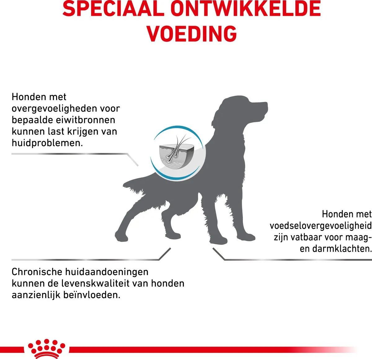 Royal Canin Veterinary Diet Cat Anallergenic Kattenvoer 4kg