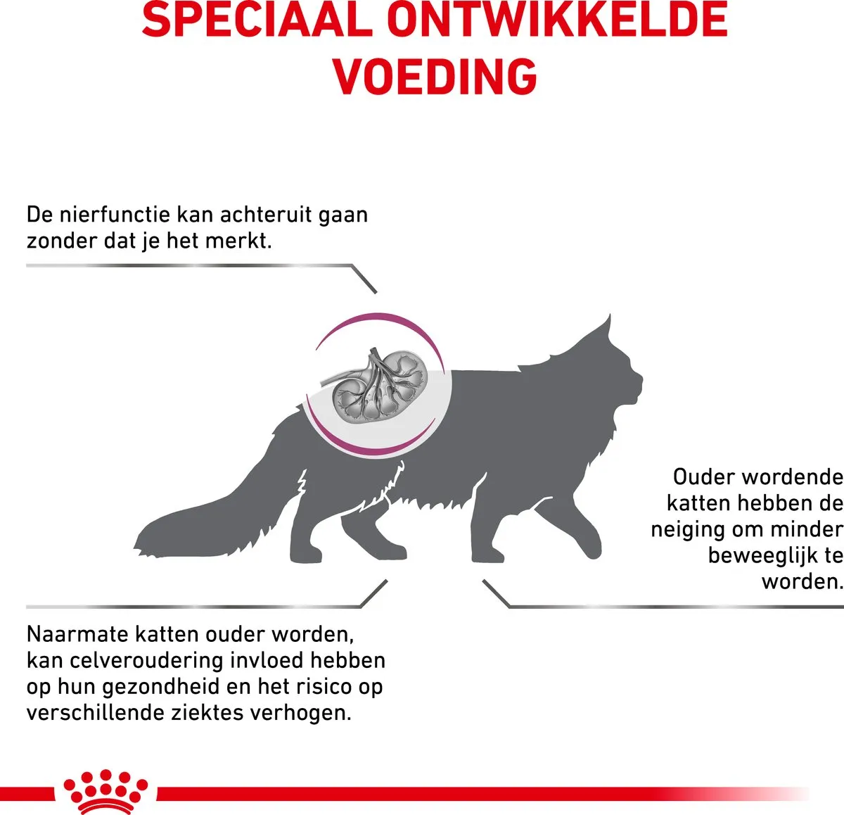 Royal Canin Veterinary Diet Cat Early Renal Kattenvoer 3.5kg