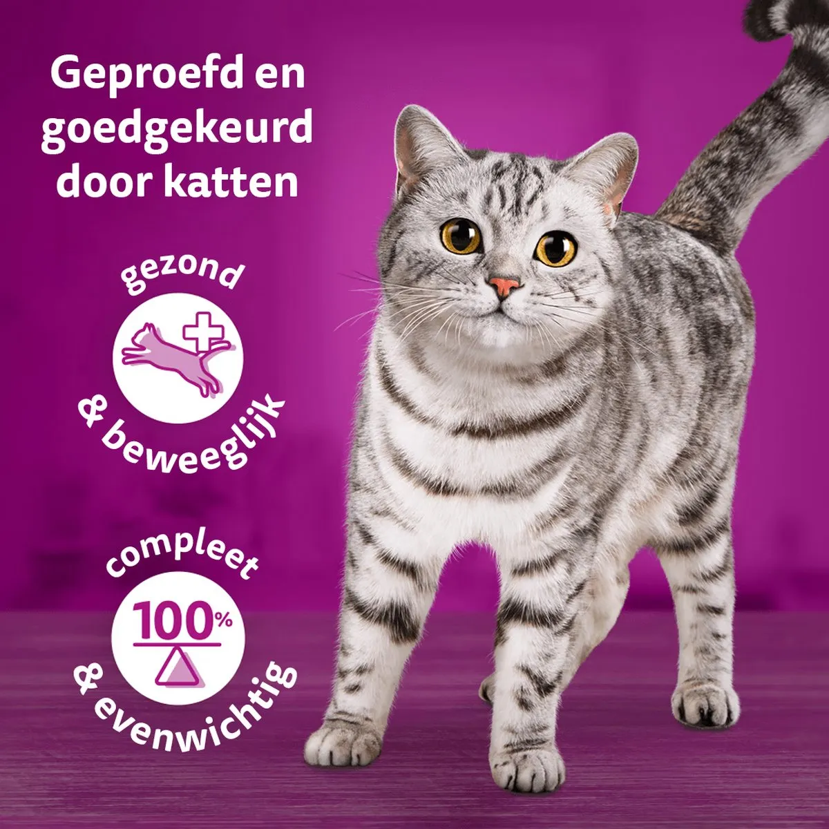 Whiskas Temptations Rund Snoepjes - 6x60g