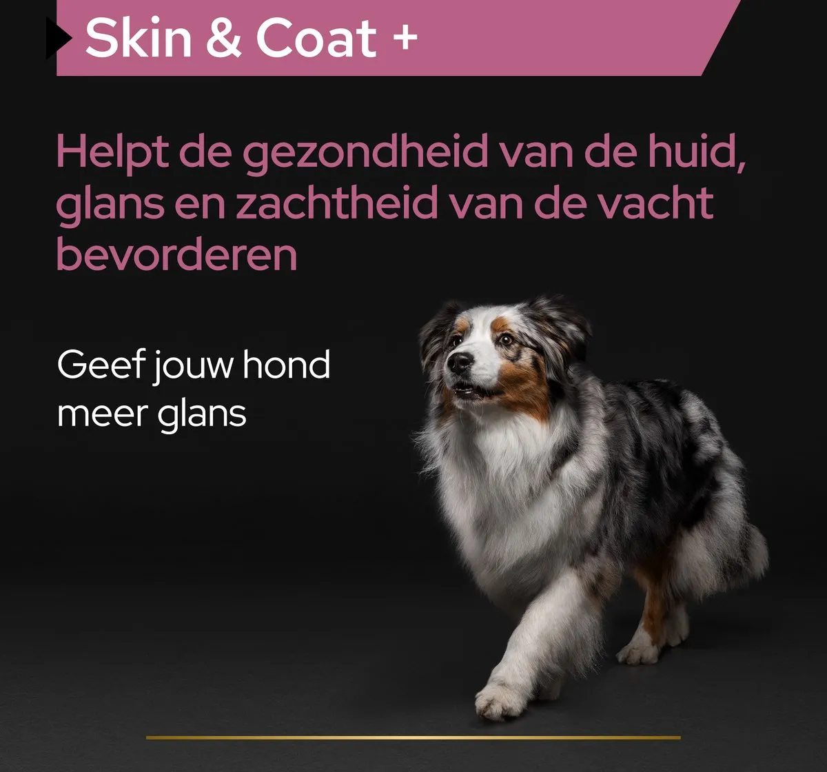 Pro Plan Skin & Coat Hond Olie - Zalm 250ml
