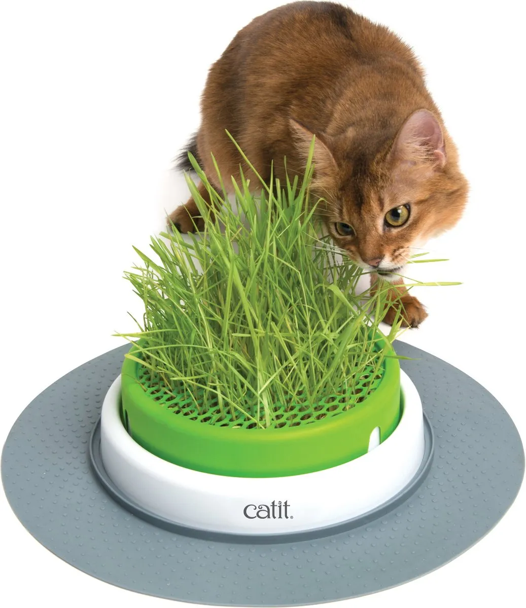 Catit Senses 2.0 Grass Planter