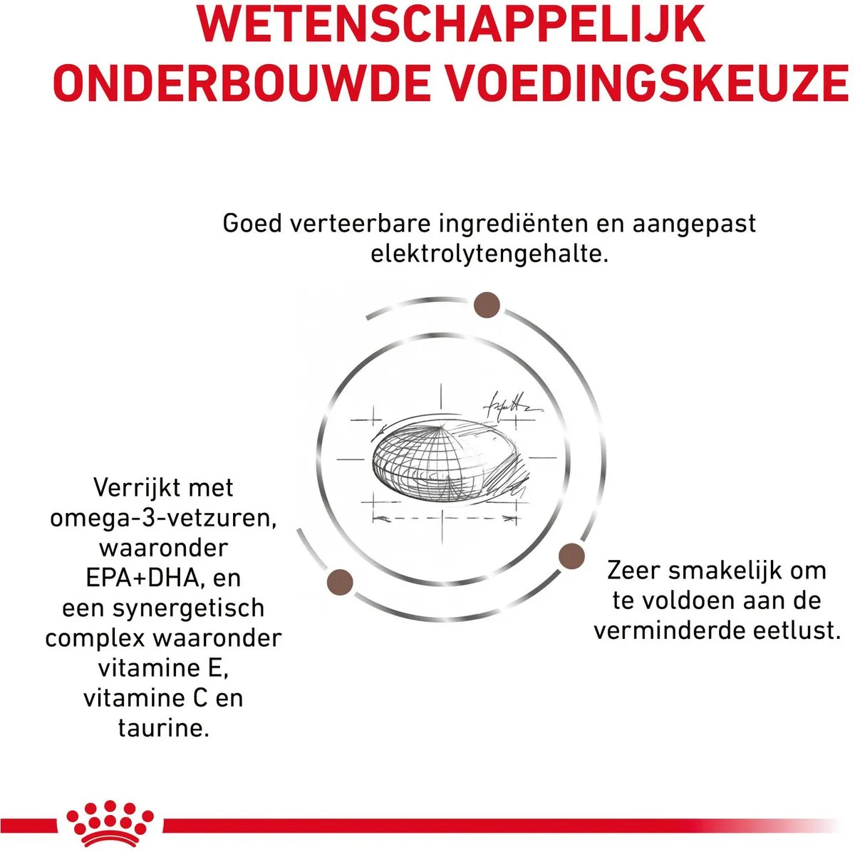 Royal Canin Veterinary Diet Gastro Intestinal Kattenvoer 2kg