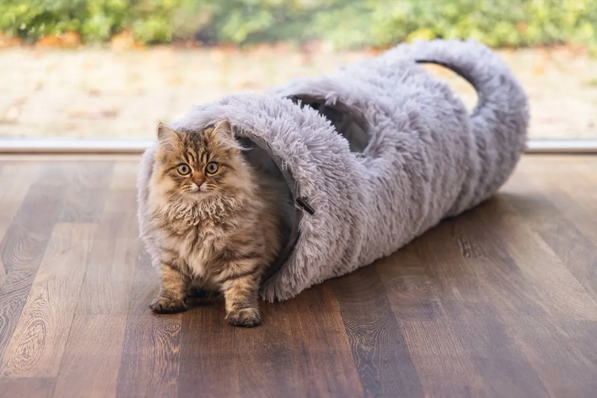 Beeztees Kitten Nona Kattentunnel - 90x25x25cm - Groen/Wit - afbeelding 6 van 6