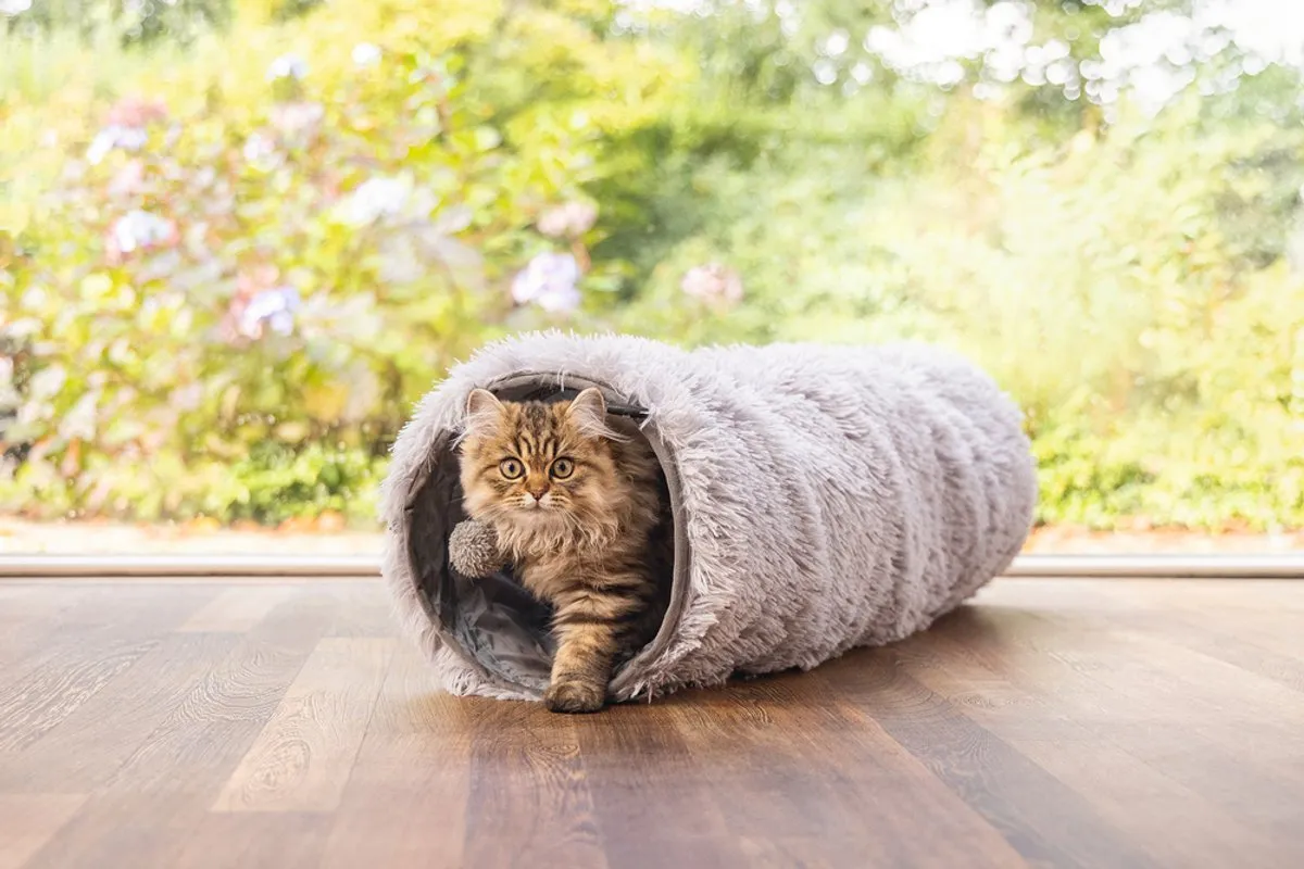 Beeztees Kitten Nona Kattentunnel - 90x25x25cm - Groen/Wit