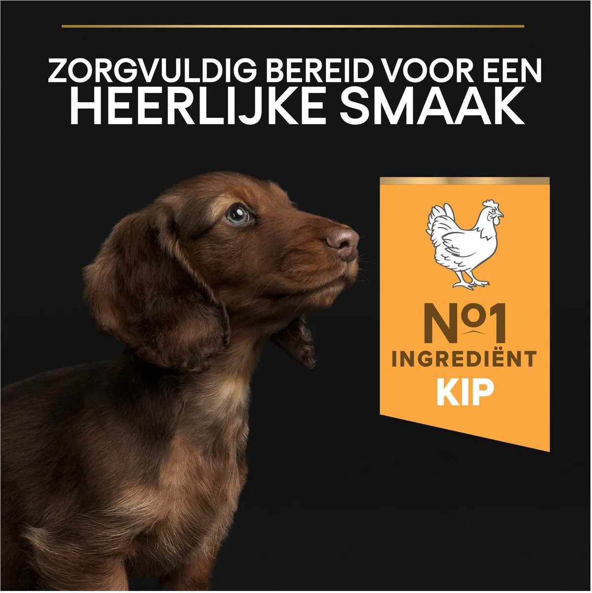 Pro Plan Healthy Start Puppy Small & Mini Droogvoer 3kg - Kip