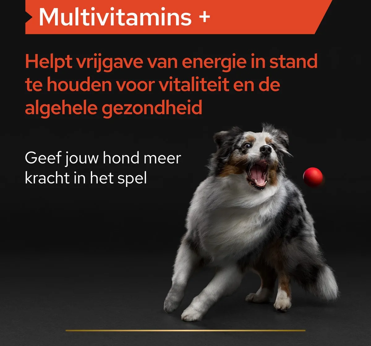 Pro Plan Hond Multivitamine Tabletten 67g