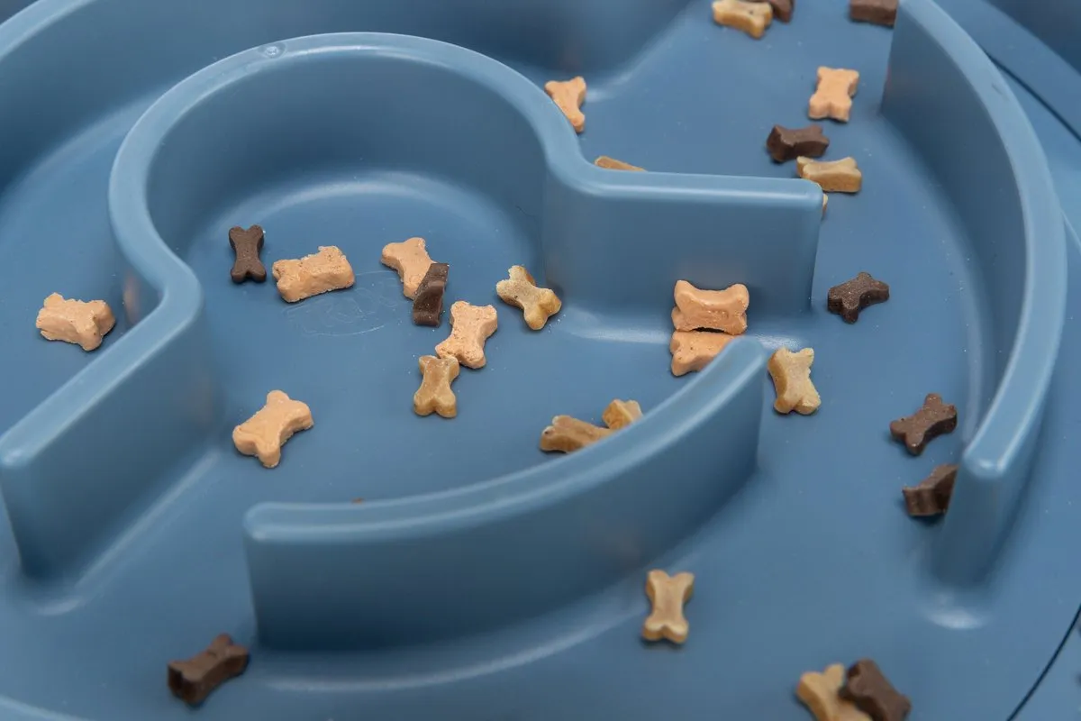 Trixie Dog Activity Rocking Maze - Blauw