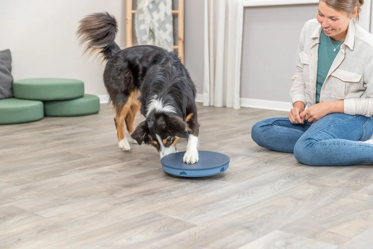 Trixie Dog Activity Rocking Maze - Blauw