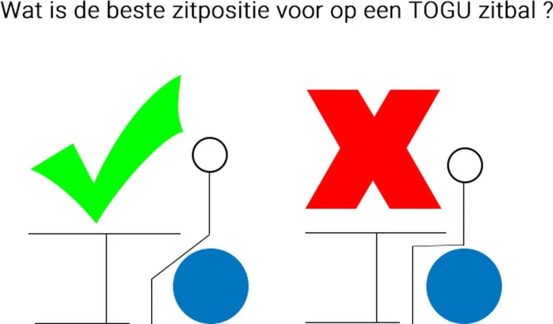 Togu Zitbal ABS 65cm - afbeelding 2 van 6