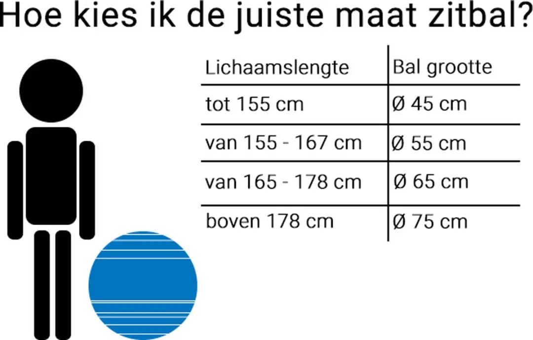 Togu Zitbal ABS 65cm - afbeelding 3 van 6