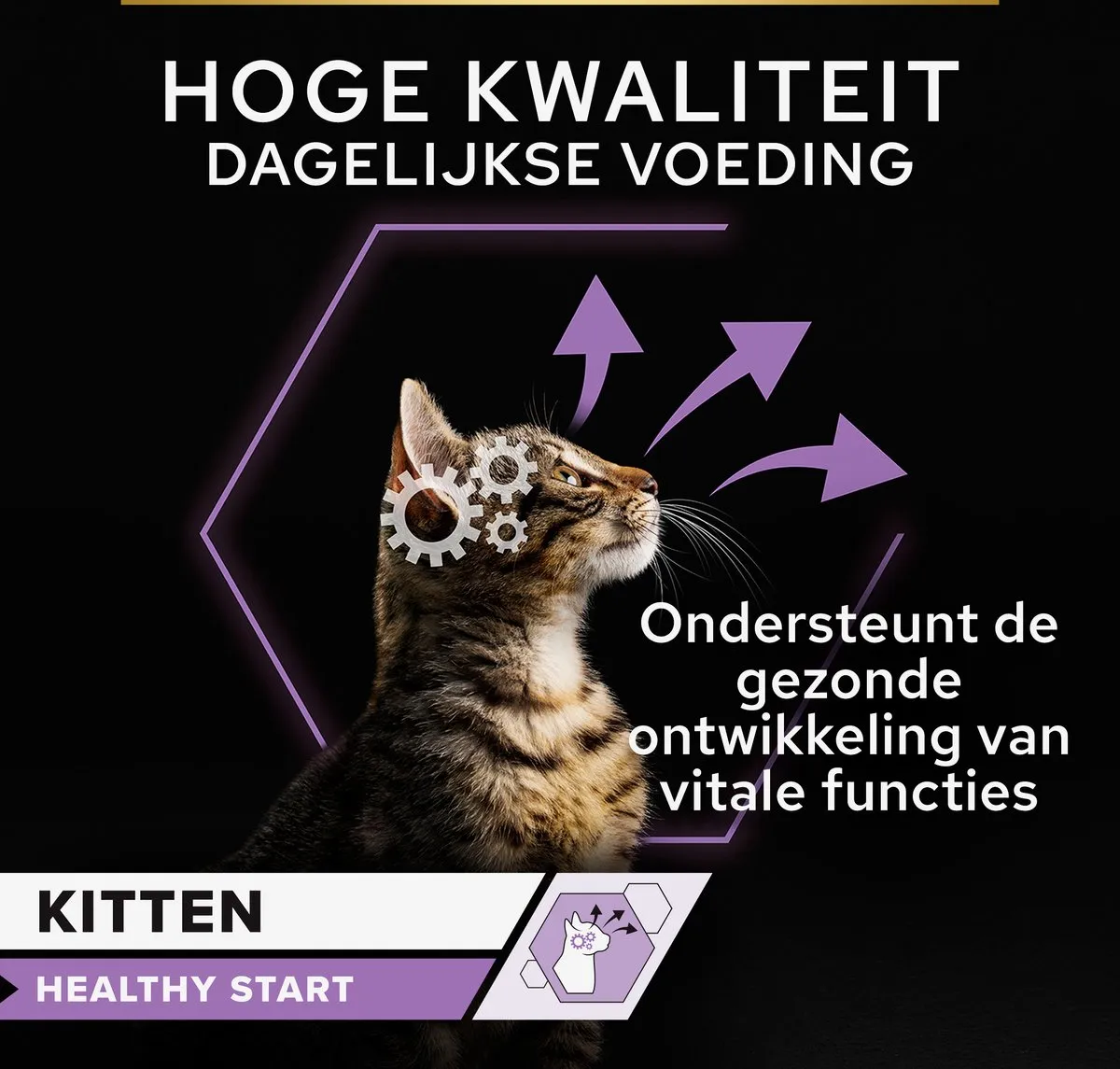 Pro Plan Kitten Healthy Start Natvoer Kalkoen - 40x85g