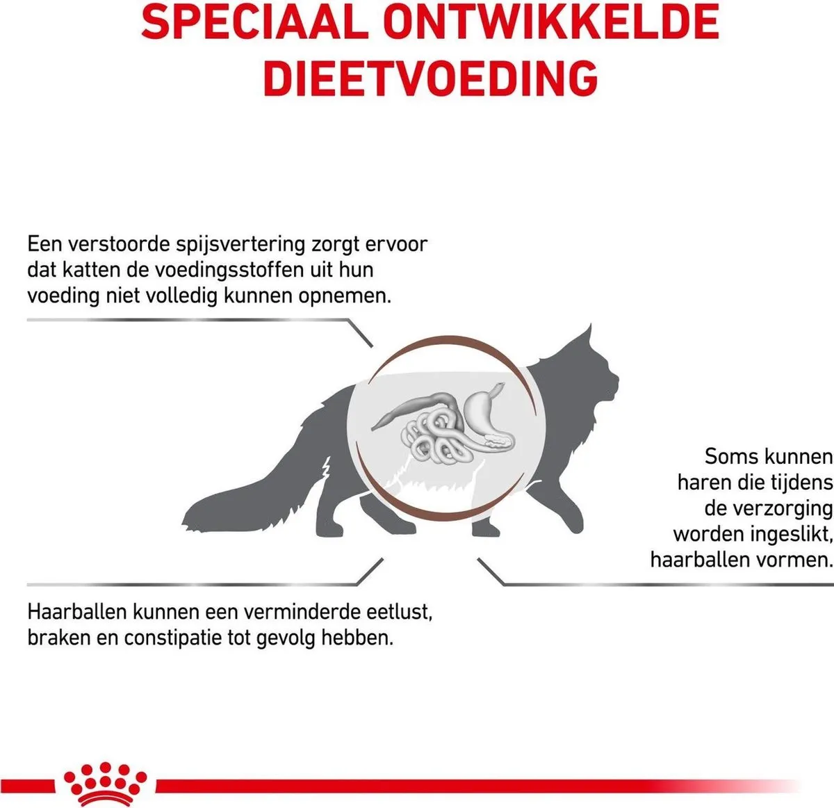 Royal Canin Gastrointestinal Hairball Kattenvoer 2kg