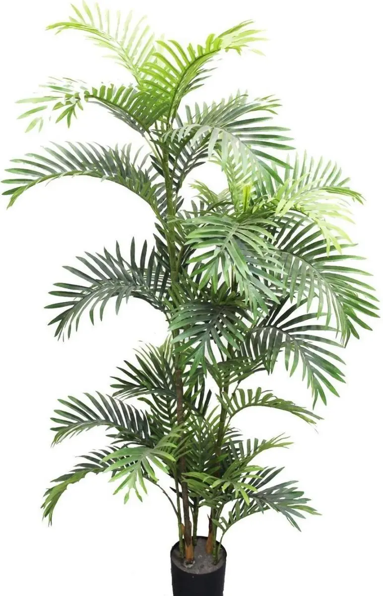 Noach Outdoor Kunstplant Areca Palm 160cm