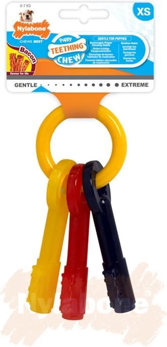 Flexi Nylabone Puppy Kauwspeelgoed X-Small