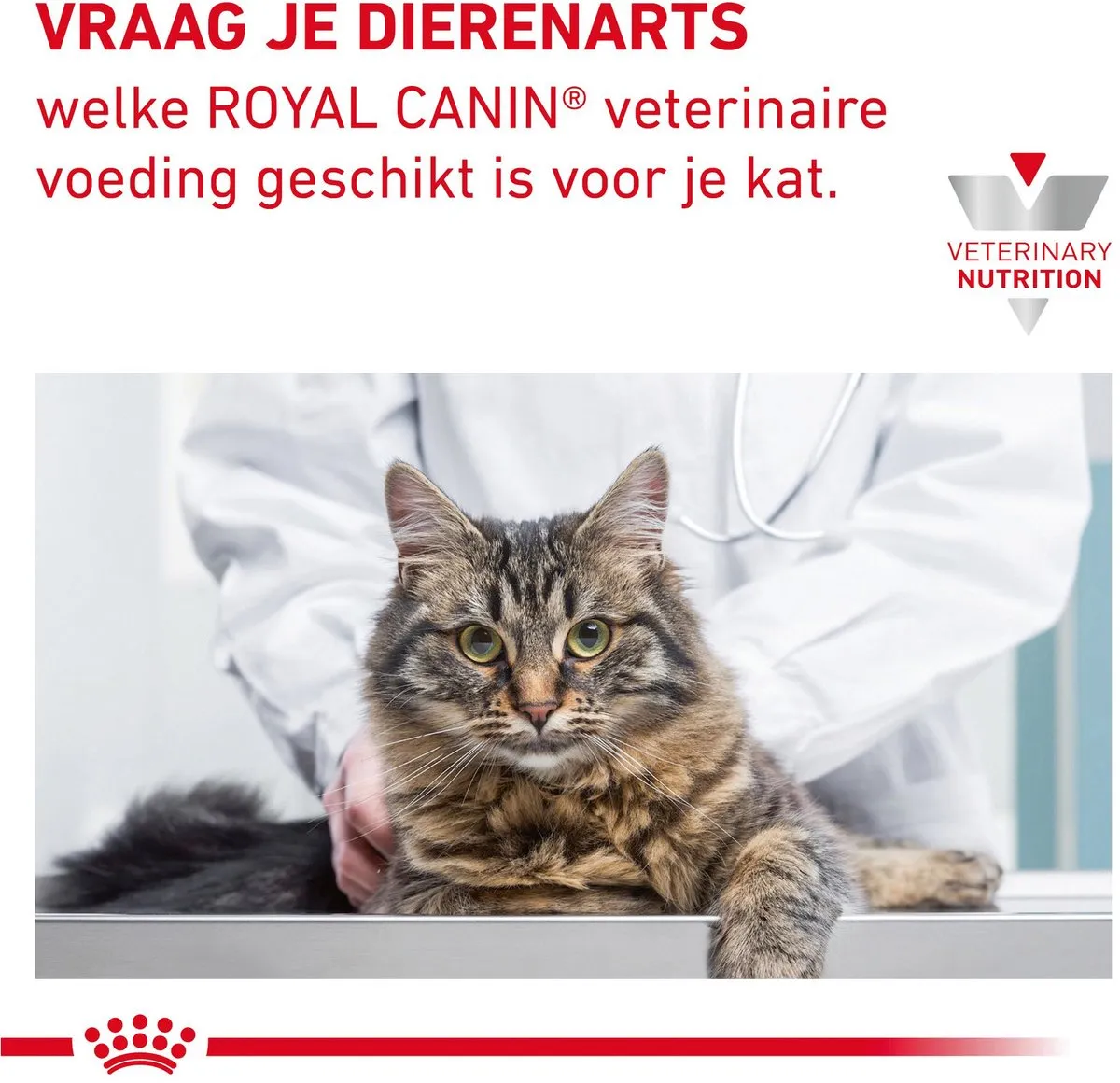 Royal Canin Veterinary Diet Skin & Coat Kattenvoer - 12x85g