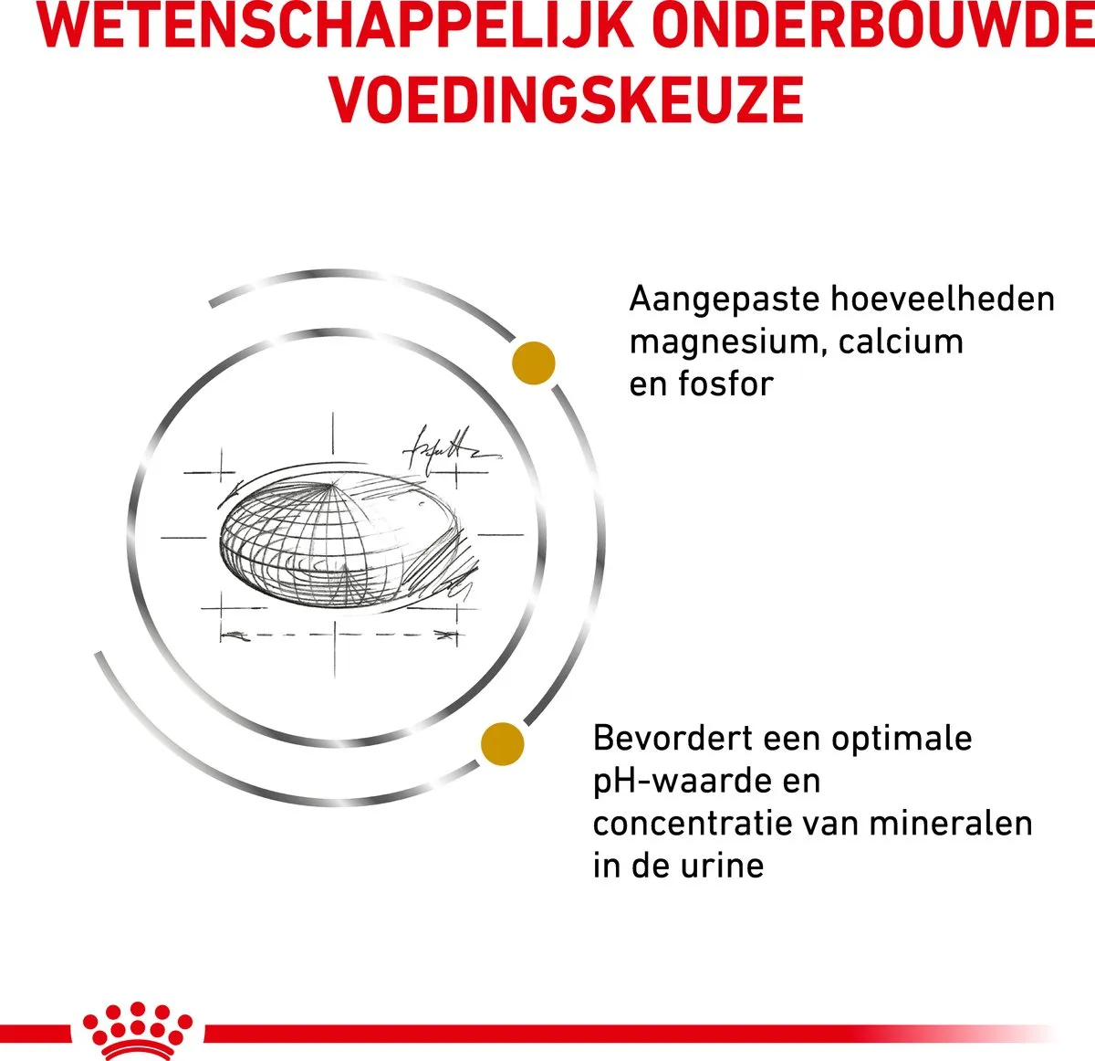 Royal Canin Urinary S/O Kattenvoer 3,5kg