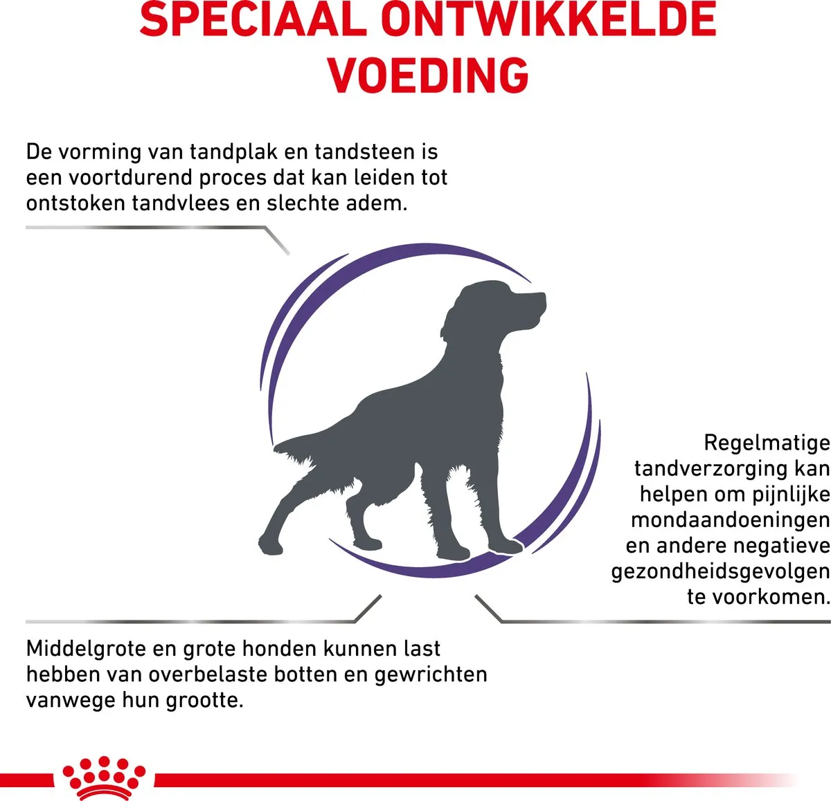 Royal Canin Veterinary Diet Dental Hondenvoer 13kg