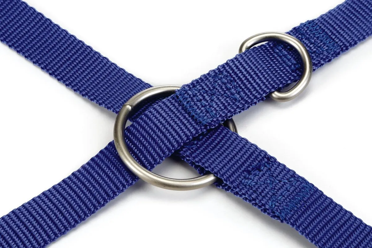Beeztees Uni Hondenriem - Blauw 200cm x 20mm