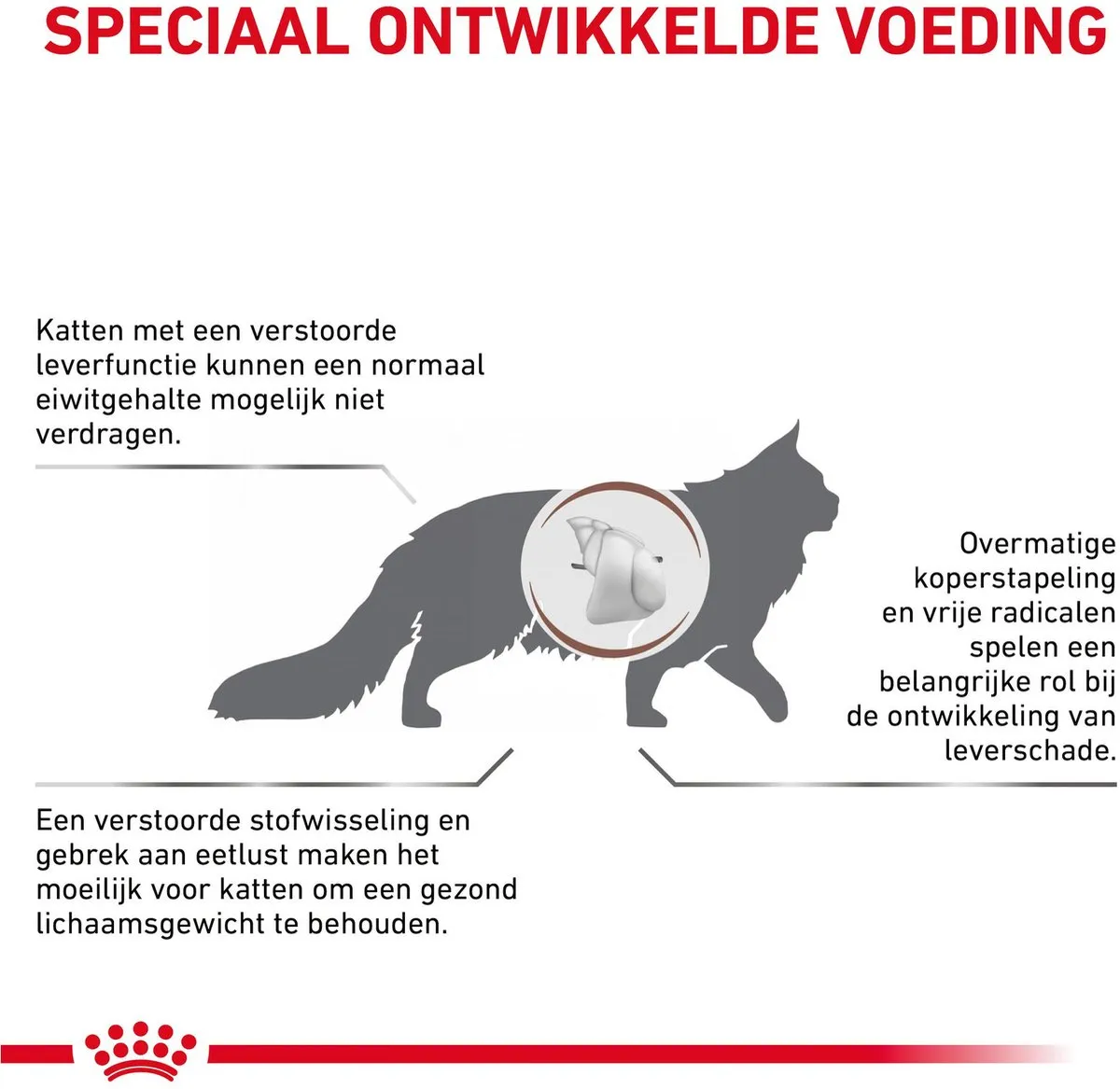 Royal Canin Veterinary Diet Hepatic Kattenvoer 2kg