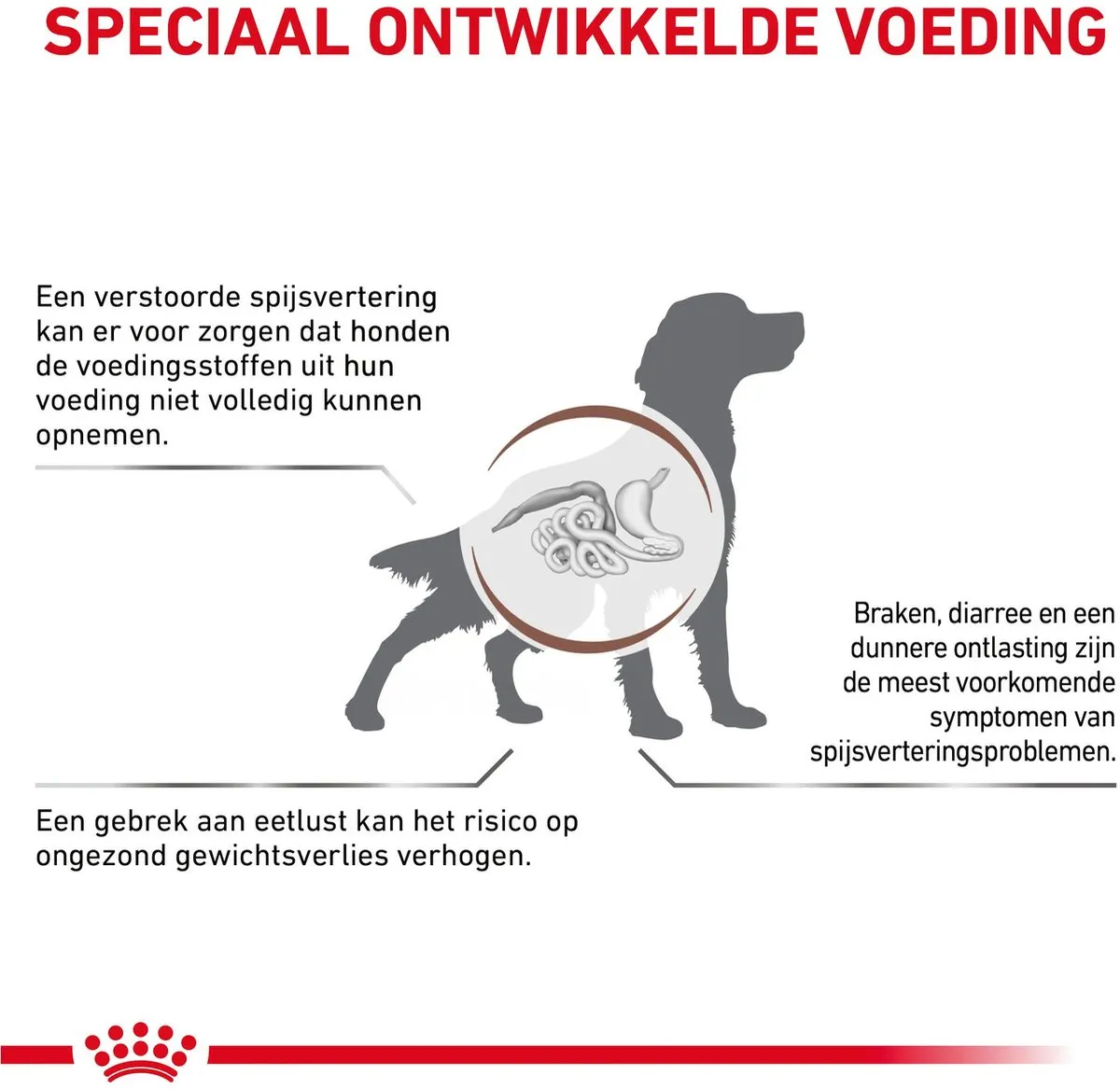 Royal Canin Veterinary Diet Gastro Intestinal Hondenvoer 15kg - afbeelding 6 van 6