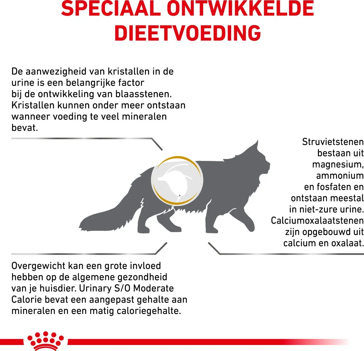 Royal Canin Urinary S/O Moderate Calorie Kattenvoer 9kg