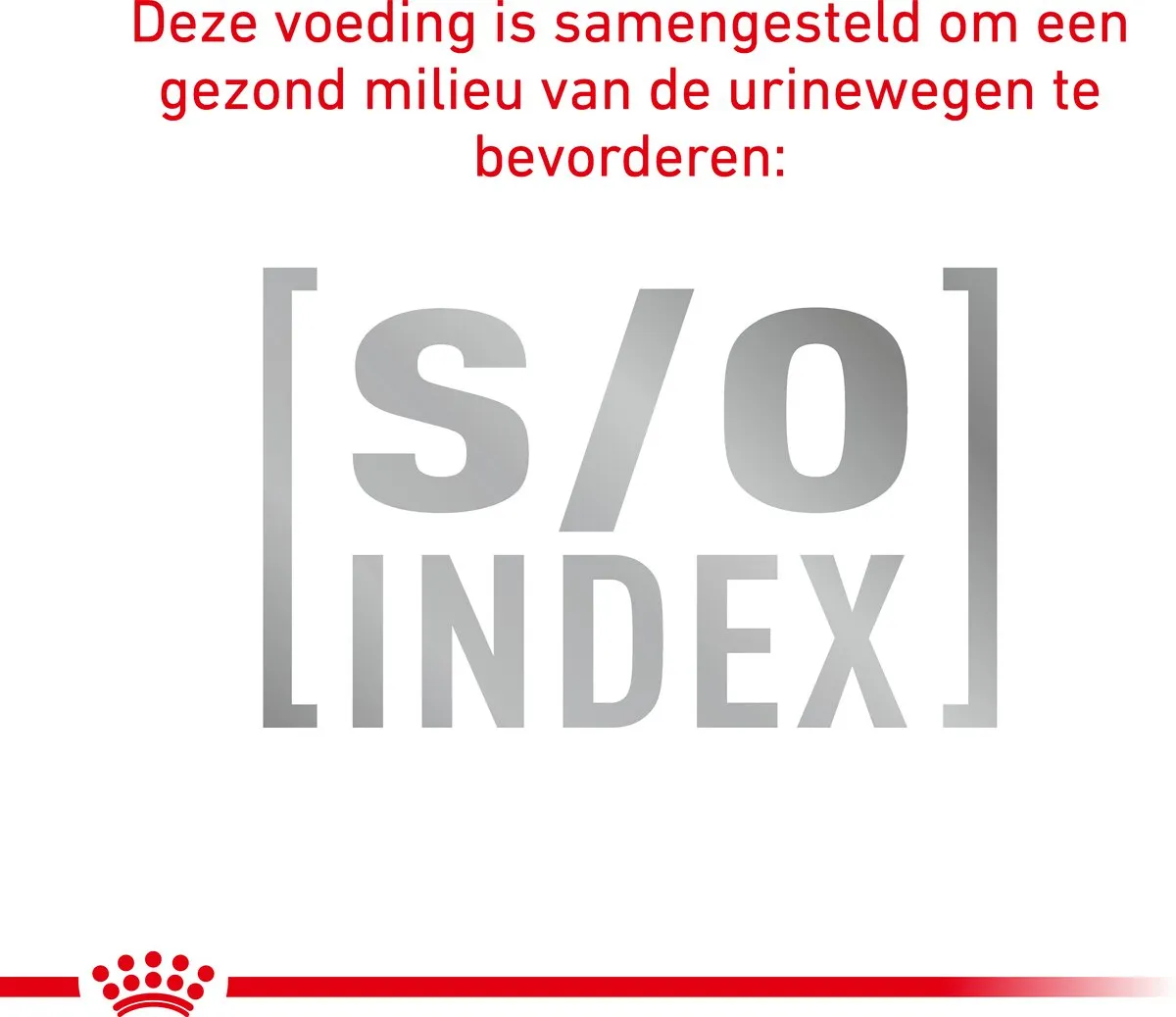 Royal Canin Veterinary Diet Cat Hypallergenic - Kattenvoer - 2.5 kg