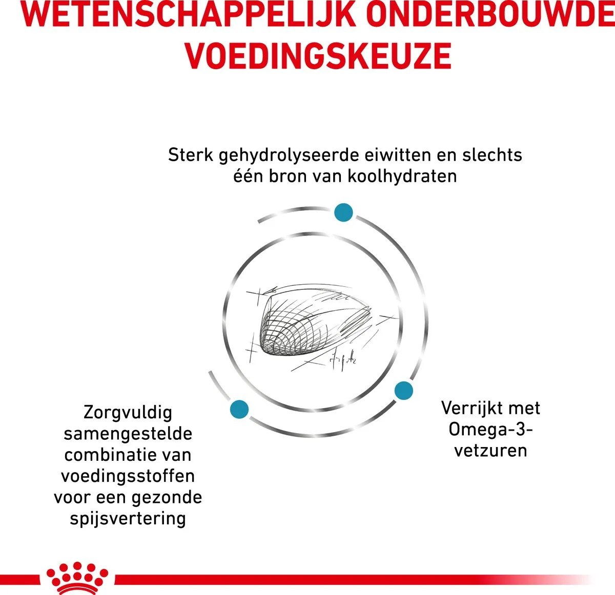 Royal Canin Veterinary Diet Cat Hypallergenic - Kattenvoer - 2.5 kg