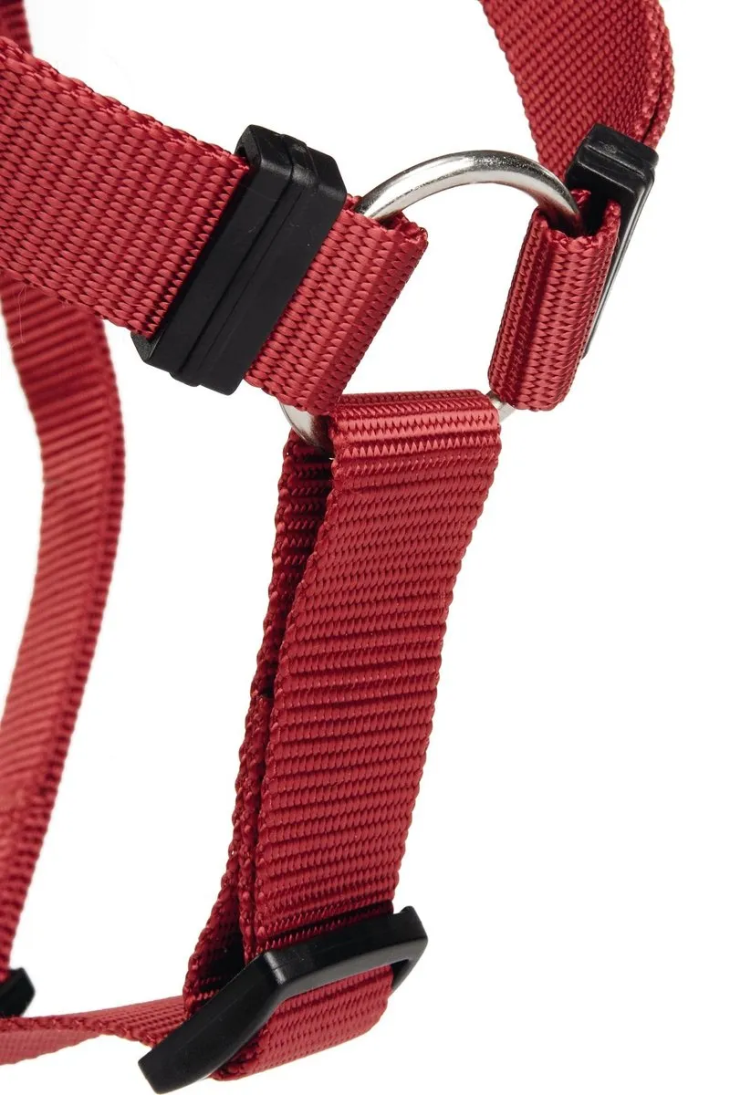 Beeztees Wandel- en Autogordel Hond Rood 40-65cm