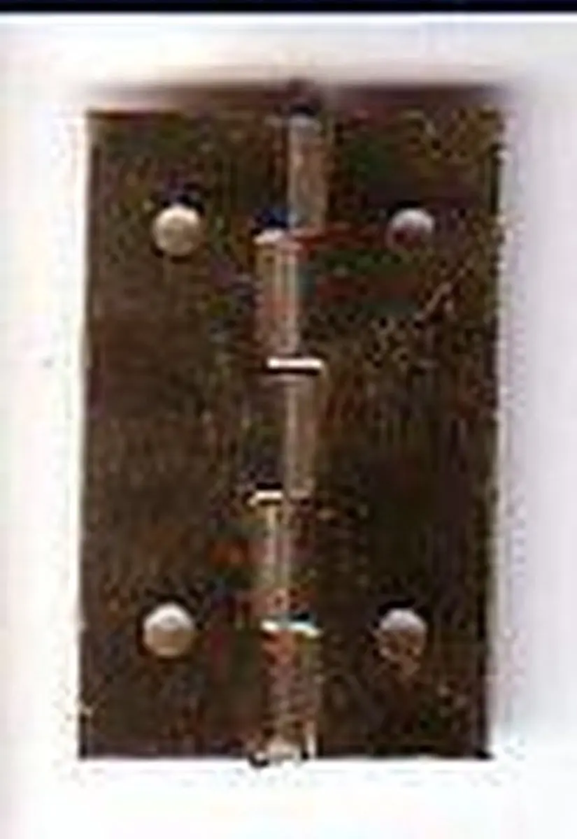 Deltafix Sigarenkistscharnieren 25x13mm - 8 stuks - afbeelding 2 van 2