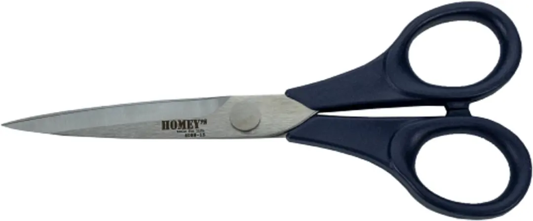 Homey's Adile Naaischaar