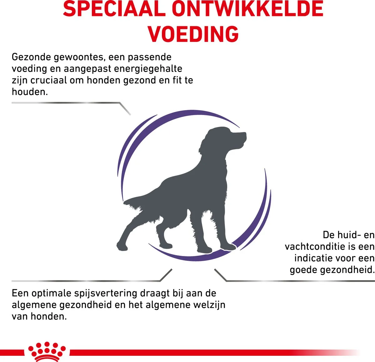 Royal Canin Veterinary Diet Medium Adult Hondenvoer 4kg
