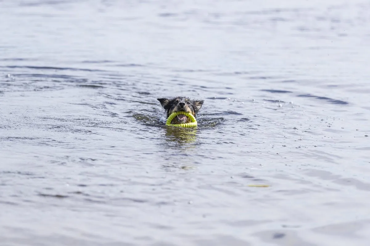 Trixie Aqua Toy Trekspeeltje - Lime - afbeelding 6 van 6
