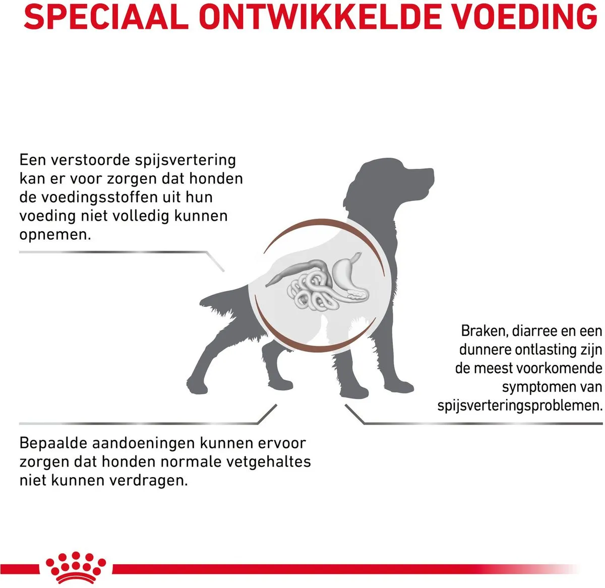 Royal Canin Veterinary Diet Gastro Intestinal Low Fat Hondenvoer 1500g