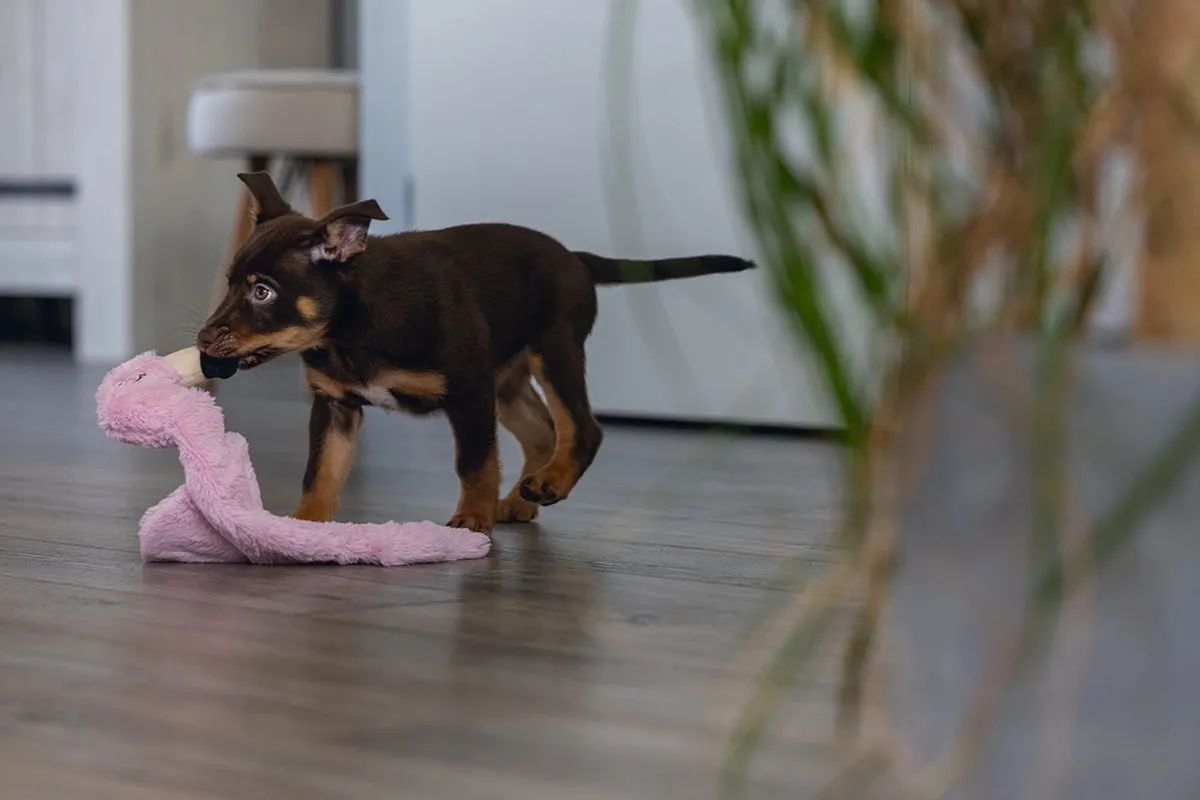 Beeztees Puppy Flatino Flamingo Hondenspeelgoed - Roze