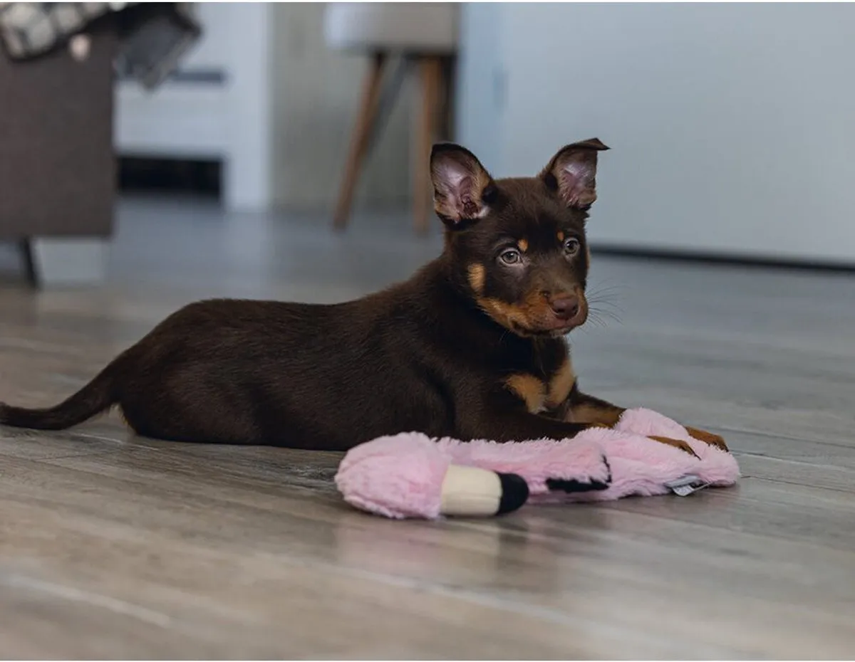 Beeztees Puppy Flatino Flamingo Hondenspeelgoed - Roze